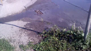 Из-за проблем с ливневкой в Рюминский пруд стекается грязь