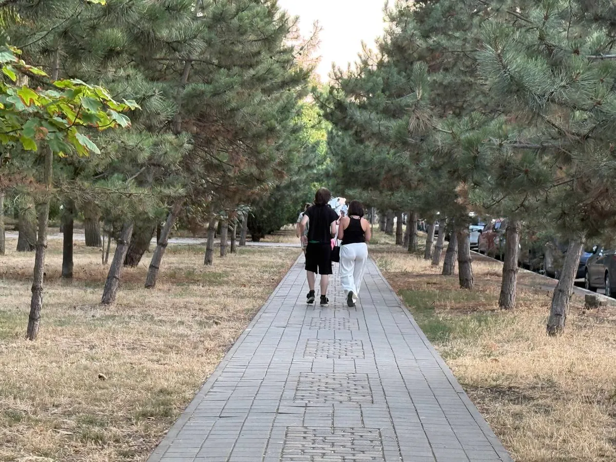 Станут королями жизни: во второй половине ноября 2025 эти люди однозначно будут купаться в золоте — гороскоп друидов
