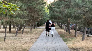 Станут королями жизни: во второй половине ноября 2025 эти люди однозначно будут купаться в золоте — гороскоп друидов
