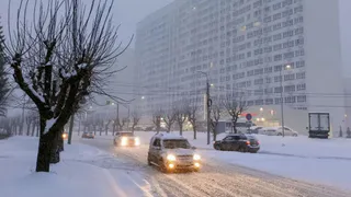 22 ноября в Пензенской области ожидается усиление ветра