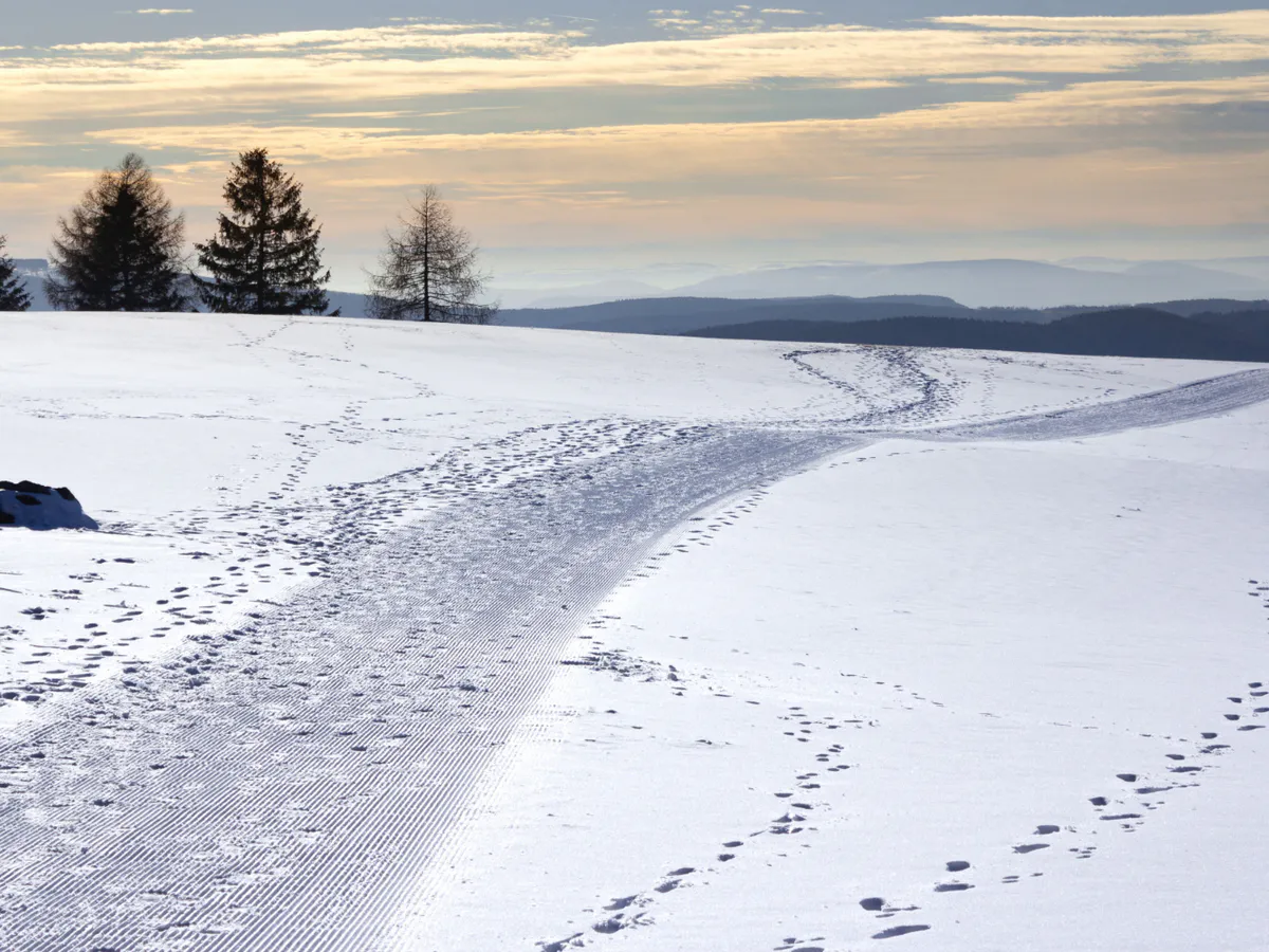 В Пензе разыскивают 39-летнего мужчину