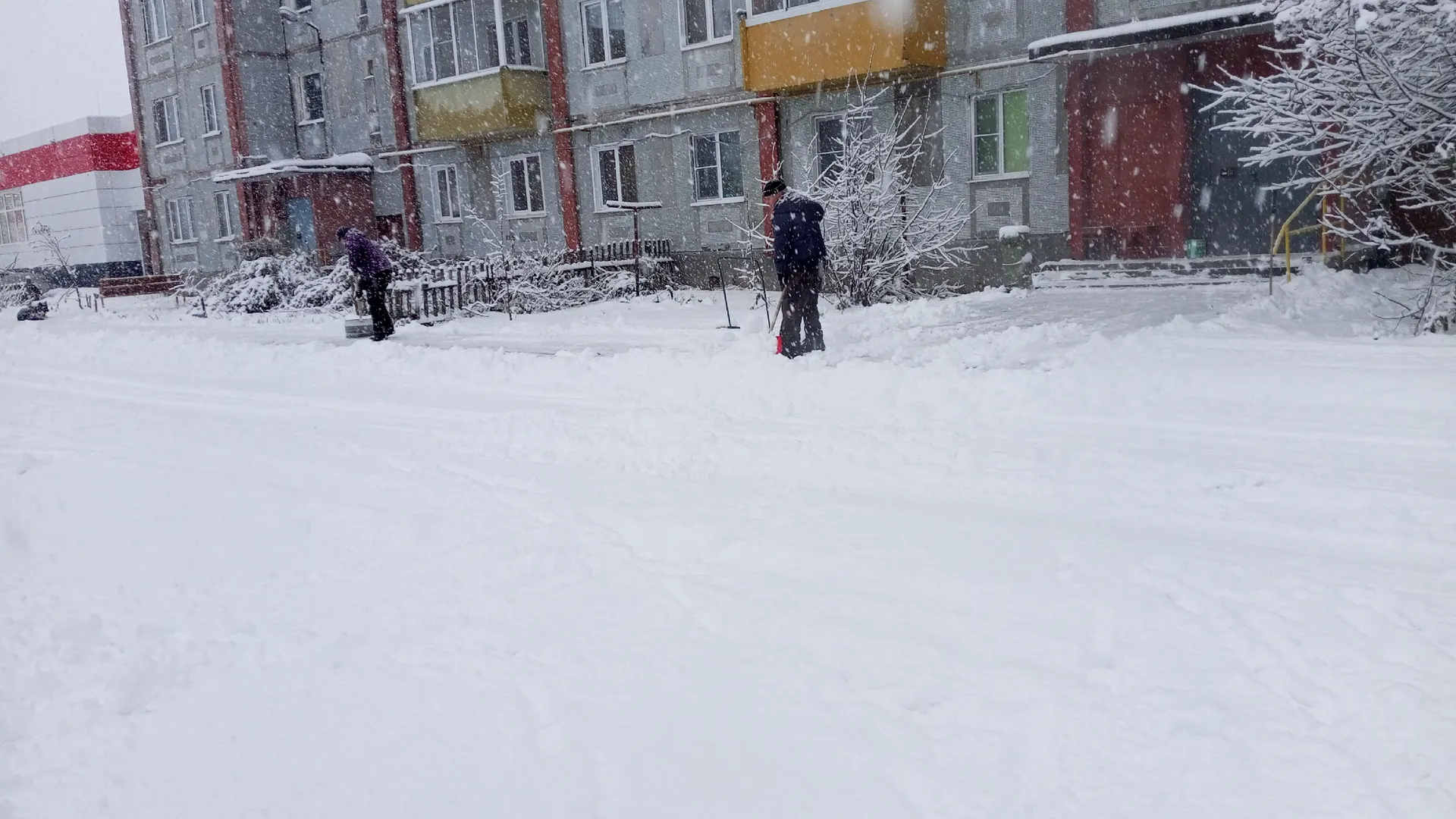 Жители поселков в Коми выбрали себе старост