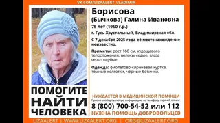 Во Владимирской области пропала пожилая женщина, нуждающаяся в медицинской помощи