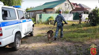Рейд в цыганский табор близ Петушков вернул в госбюджет 200 000 просроченных платежей