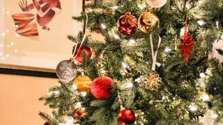Искусственная или живая: как правильно выбрать елку на Новый Год