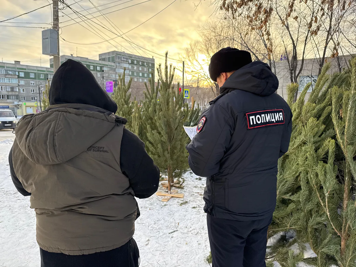 В Магнитогорске усилен контроль за торговлей пиротехникой и елками в преддверии Нового года