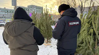 В Магнитогорске усилен контроль за торговлей пиротехникой и елками в преддверии Нового года