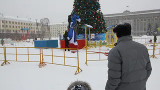 В Рязани из-за мобилизации отменили Новый год