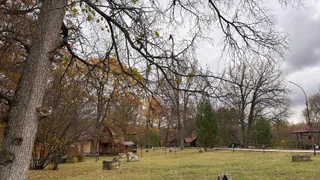 В Рязани предупреждают о сильном ветре и опасности возгораний