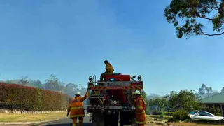 Безопасность учреждений в лесных массивах обеспечит специальная комиссия