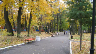 15 октября в Пензе в парке Белинского организуют праздник ко Дню отца