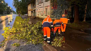 Коммунальщики Сыктывкара борются с последствиями ночной грозы