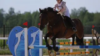 В Собинском районе пройдёт «Кубок Золотого кольца» по конному спорту