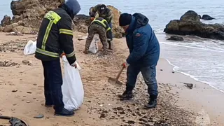 Фотограф из Челябинской области рассказал об утонувших в мазуте пляжах Анапы