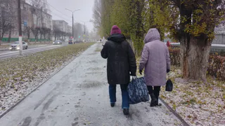 Ночные заморозки и мокрый снег: погода в Коми 19 октября