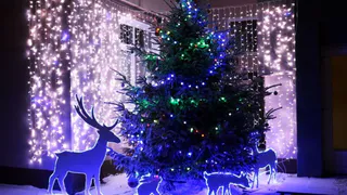 Погода: новогодняя ночь в России будет жаркой