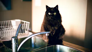 Очередные отключения воды - сегодня на очереди семь улиц и один поселок в Рязани