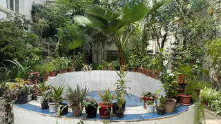 В Рыбновском районе обнаружен опасный вредитель, угрожающий растениям