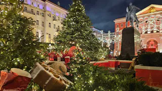 7 вещей, которые удивляют иностранцев в праздновании русского Нового года - они к такому никогда не привыкнут