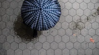 Ночью в Рязанской области ожидаются дожди