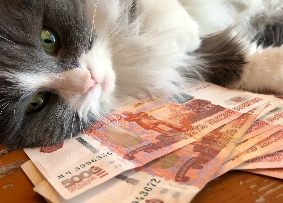 Россиянам рассказали о перерасчете пенсий в 2026 году - вот на сколько увеличат