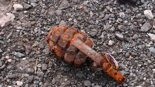 На огороде в Рыбном нашли гранату