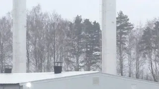 Право выбора... Семцы и Негино