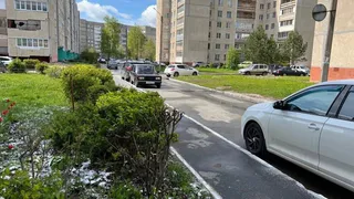 Зима и лето поменялись местами: погода приготовила россиянам настоящий сюрприз