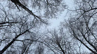 Сильные метели и снежные заносы ожидают Южный Урал в первый день 2025 года