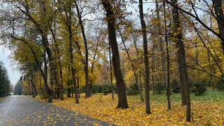 Олег Денисов наградил пензенцев, активно участвовавших в обновлении сквера «Семейный»