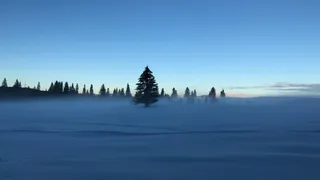 В Рязанской области ожидаются сильные метели и снегопад