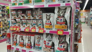 Владимирские продавцы веттоваров назвали замену популярным кормам, которые исчезнут с прилавков