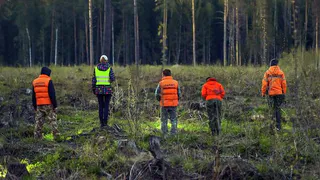 В Сасовском районе прекращены поиски пропавших без вести подростков