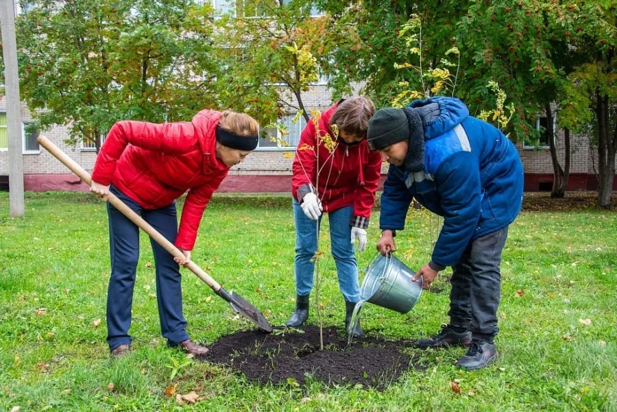 Зеленый Нижнекамск: в этом году высажено более 3-х тыс. деревьев и кустарников
