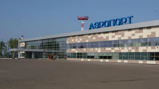 В Бегишево ведут проверку на наличие зараженных короновирусом насекомых 