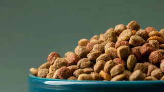 "Не травите этим своих кошек": в Роскачестве назвали худшие марки корма для питомцев