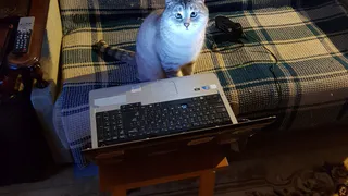 Карантин с пользой: подборка интересных занятий и интернет- ресурсов во время нерабочей недели