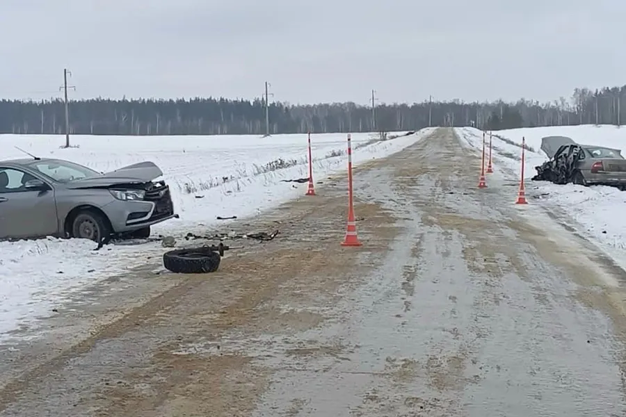 ДТП в Лопатинском районе унесло жизнь пенсионера