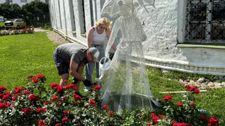 Владимирская арт-новость: в компанию матрешек и гармошки влилась девушка с зонтом