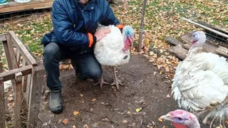 Господдержка в Чувашии: Максим Кузнецов укрепляет свою ферму благодаря социальному контракту