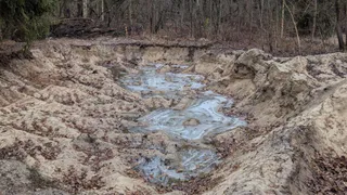 Экологическое преступление раскрыли на озере Чернецкое в Судогодском районе