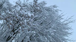 «Люди просто падают на ступеньках»: рязанка пожаловалась губернатору на работу УК во время снегопада