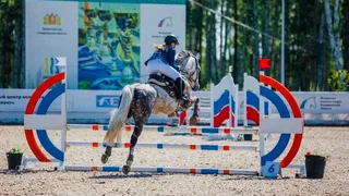 Спортсменки Коми одержали победы в Свердловской области по конному спорту