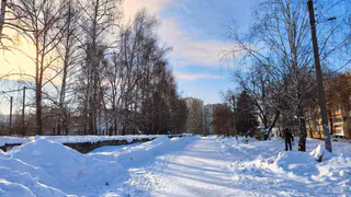 15 февраля в Татарстане ожидается мокрый снег и метель