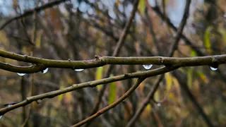 Осенние ненастья приближаются: жителей Челябинской области призывают готовиться к переменам в погоде