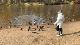 Рязань оказалась в лидерах воробьиной переписи