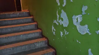 В Брянском подъезде  царит грязь и разруха