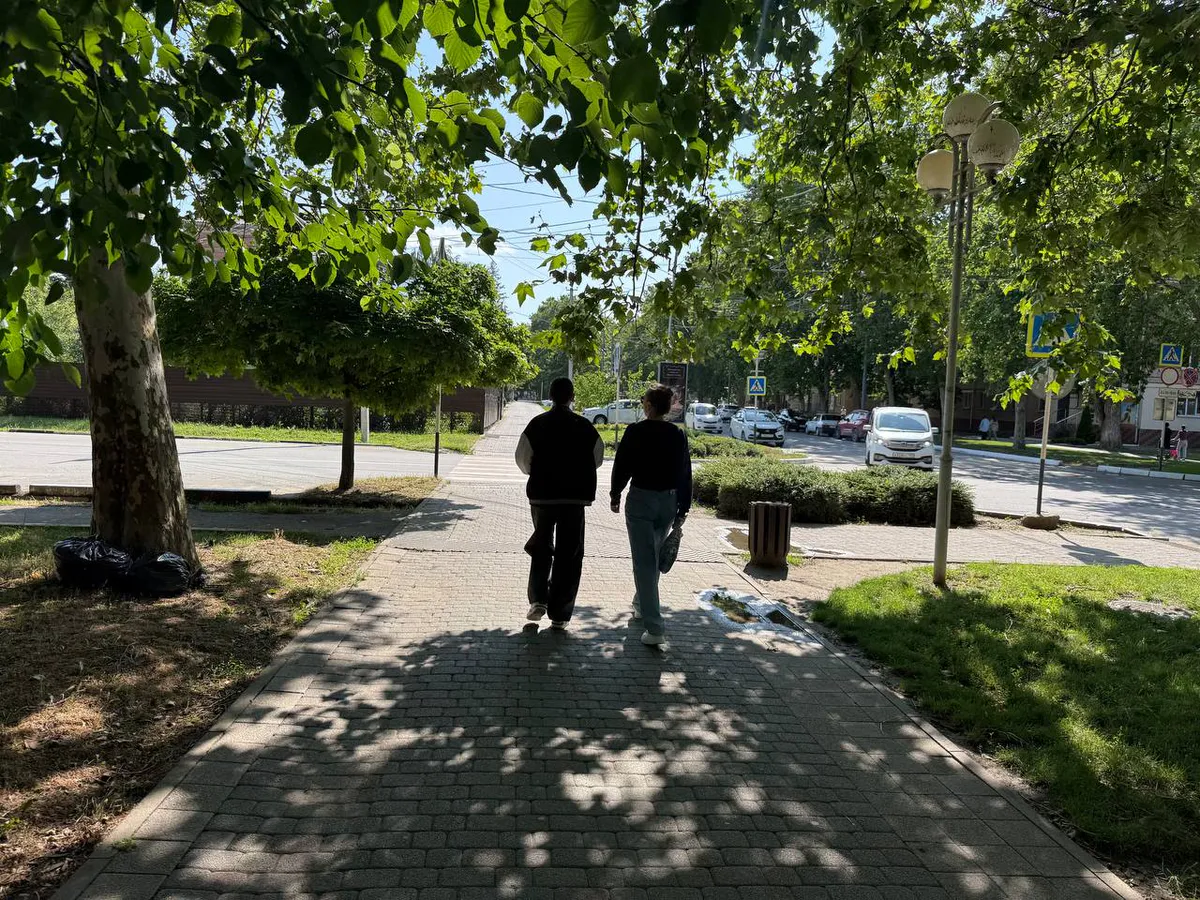 С 1 августа водителей ждет новая медкомиссия: какие изменения ввели и как теперь проходить осмотр