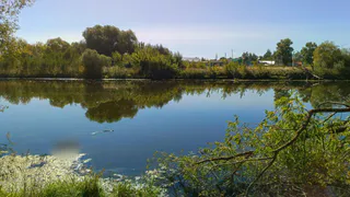 Следствие ведут: в пруду города Камешково утонул мужчина