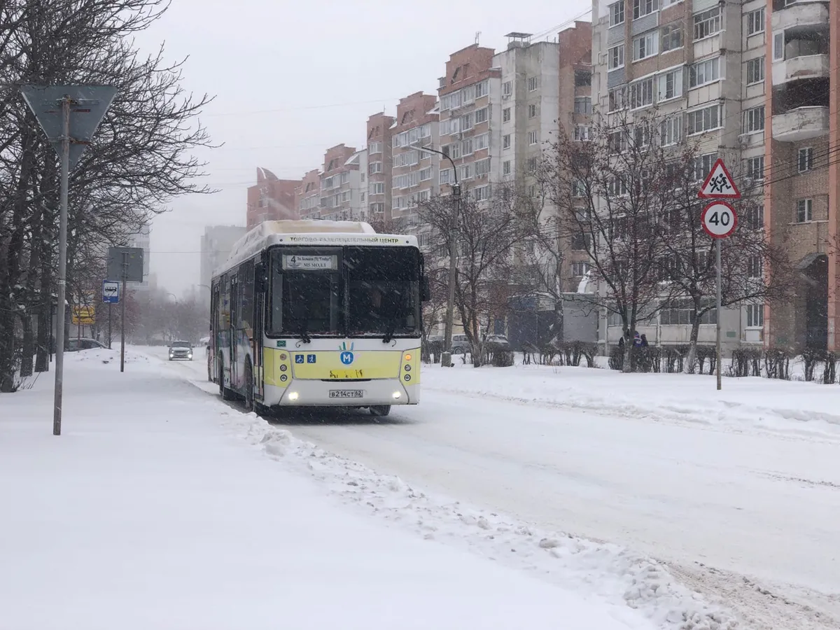 Пензенский мэр выразил свою позицию относительно транспортной реформы